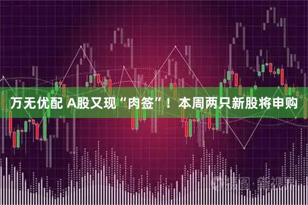 万无优配 A股又现“肉签”！本周两只新股将申购